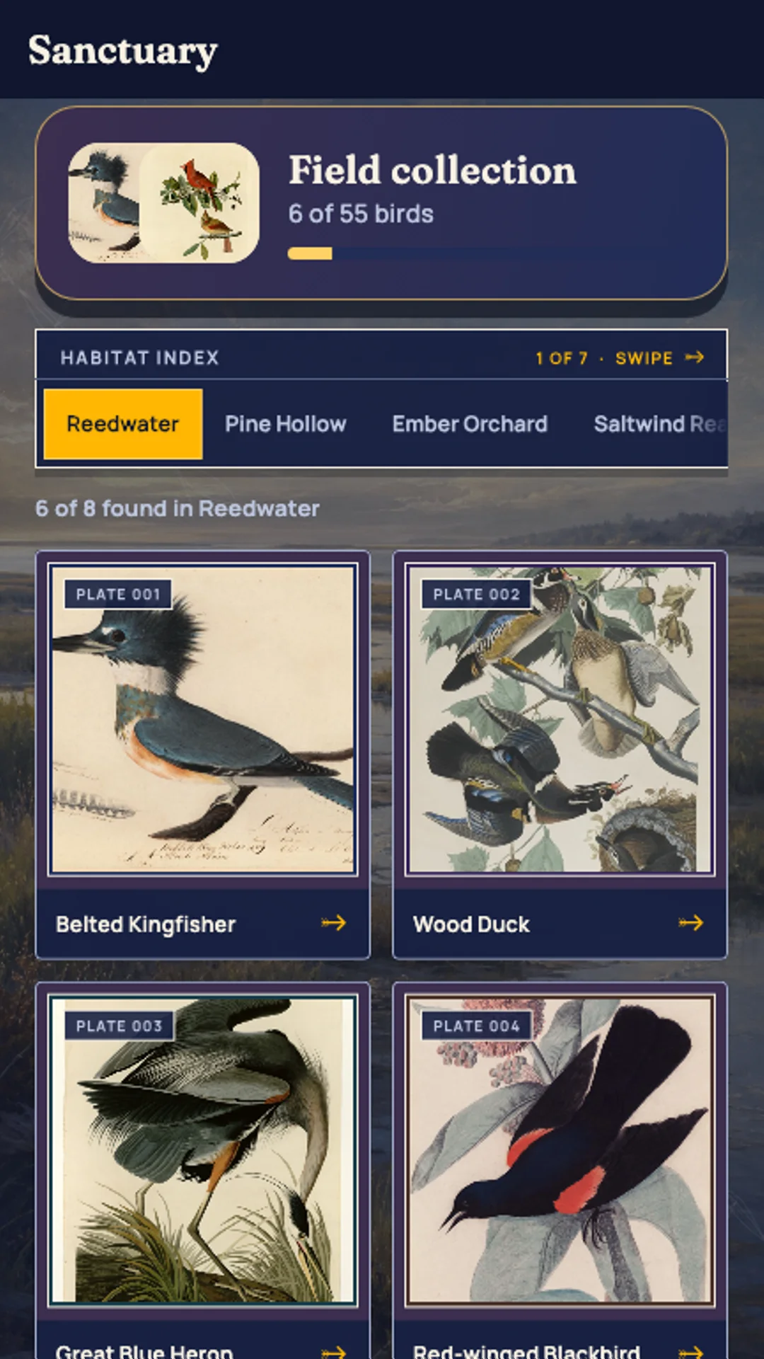Kingfisher Sanctuary screen showing natural-history plates for the Belted Kingfisher, Wood Duck, Great Blue Heron, and Red-winged Blackbird.